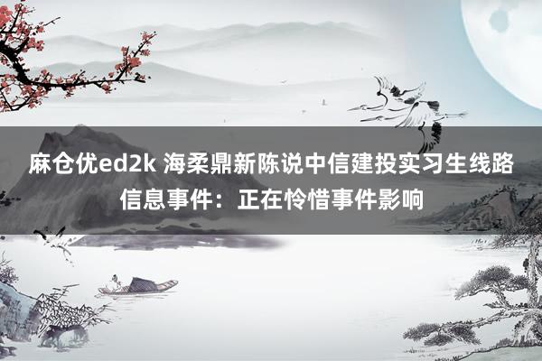 麻仓优ed2k 海柔鼎新陈说中信建投实习生线路信息事件：正在怜惜事件影响