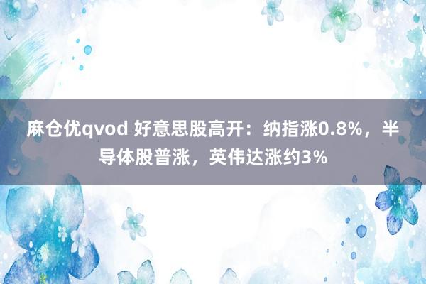 麻仓优qvod 好意思股高开：纳指涨0.8%，半导体股普涨，英伟达涨约3%