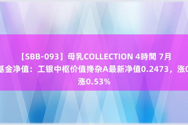 【SBB-093】母乳COLLECTION 4時間 7月26日基金净值：工银中枢价值搀杂A最新净值0.2473，涨0.53%