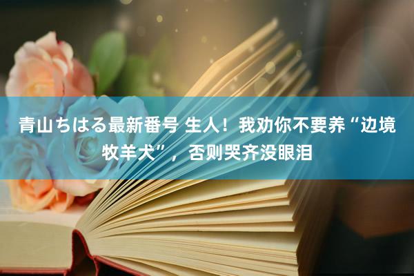 青山ちはる最新番号 生人！我劝你不要养“边境牧羊犬”，否则哭齐没眼泪