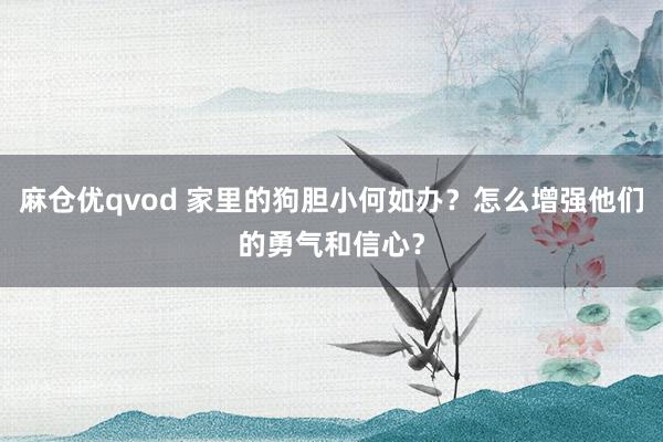 麻仓优qvod 家里的狗胆小何如办？怎么增强他们的勇气和信心？