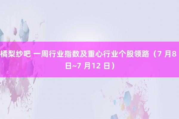 橘梨纱吧 一周行业指数及重心行业个股领路（7 月8 日~7 月12 日）