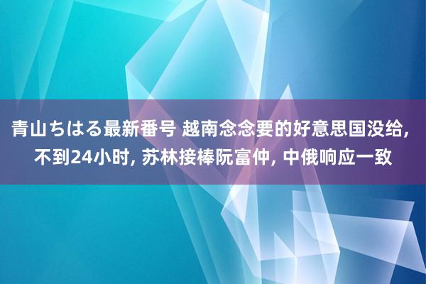 青山ちはる最新番号 越南念念要的好意思国没给， 不到24小时， 苏林接棒阮富仲， 中俄响应一致