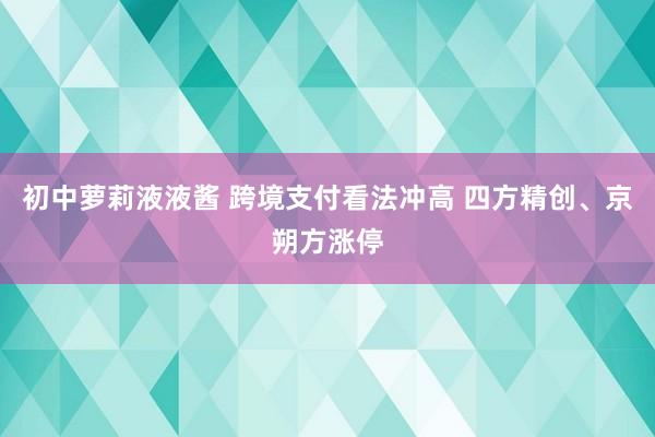 初中萝莉液液酱 跨境支付看法冲高 四方精创、京朔方涨停