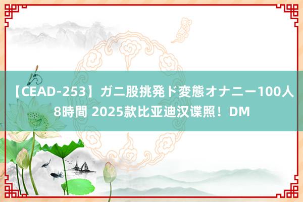 【CEAD-253】ガニ股挑発ド変態オナニー100人8時間 2025款比亚迪汉谍照！DM