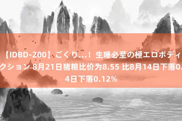 【IDBD-200】ごくり…！生唾必至の極エロボディセレクション 8月21日猪粮比价为8.55 比8月14日下落0.12%