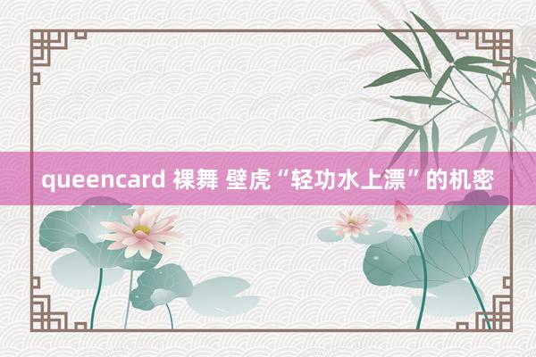 queencard 裸舞 壁虎“轻功水上漂”的机密