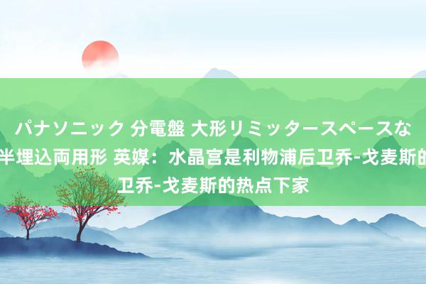 パナソニック 分電盤 大形リミッタースペースなし 露出・半埋込両用形 英媒：水晶宫是利物浦后卫乔-戈麦斯的热点下家