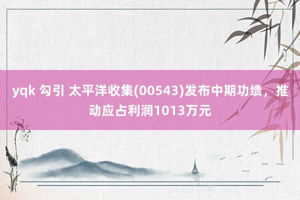 yqk 勾引 太平洋收集(00543)发布中期功绩，推动应占利润1013万元