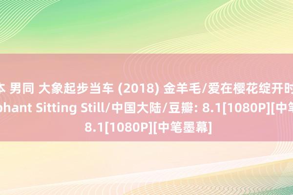 日本 男同 大象起步当车 (2018) 金羊毛/爱在樱花绽开时/An Elephant Sitting Still/中国大陆/豆瓣: 8.1[1080P][中笔墨幕]